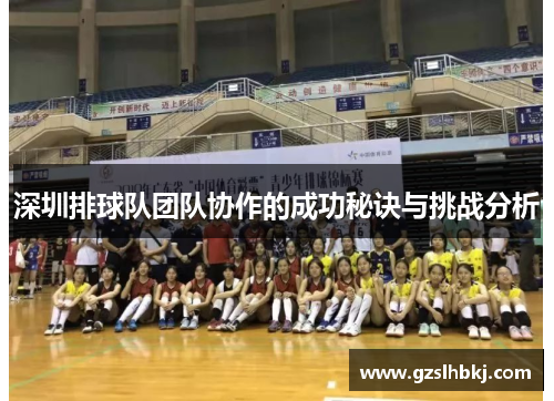 深圳排球队团队协作的成功秘诀与挑战分析