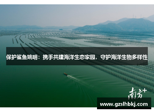 保护鲨鱼姚明：携手共建海洋生态家园，守护海洋生物多样性