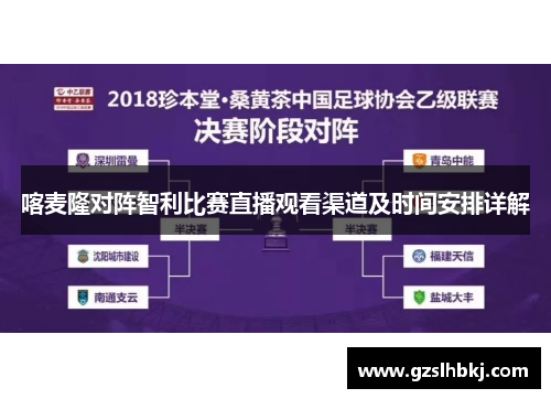 喀麦隆对阵智利比赛直播观看渠道及时间安排详解
